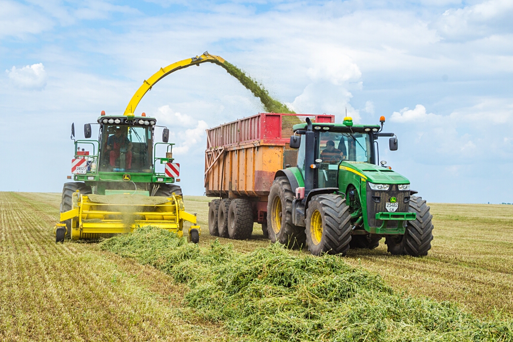 Silage1