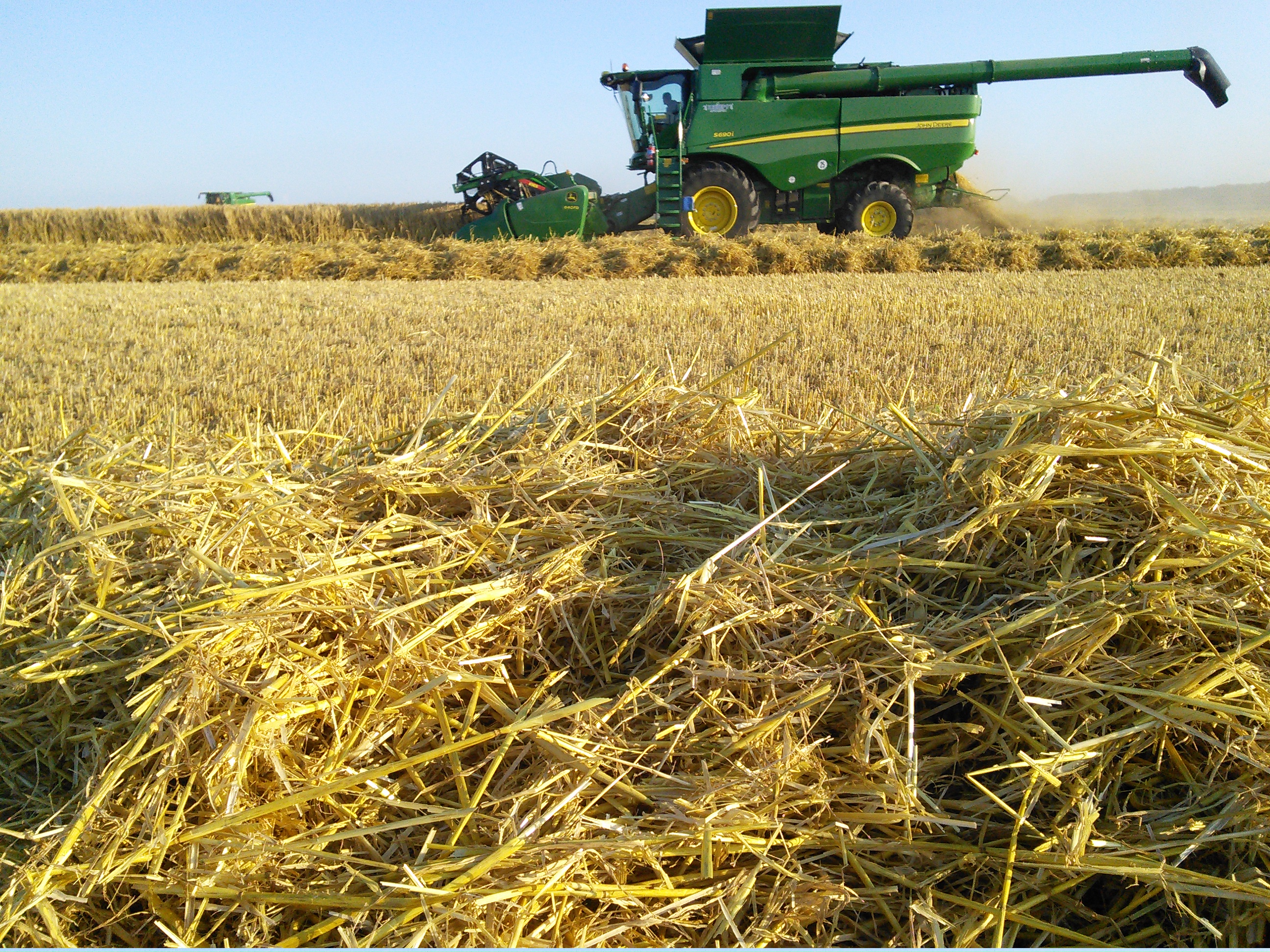 Barley Combining 2016 1